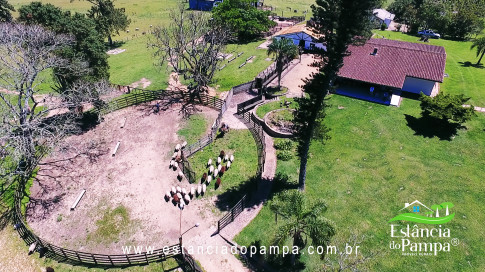 VAI ATE MANGUEIRA OVELHAS.00_02_45_25.Quadro034_bc78cf1fa6f59af7320cb4c10dff6c8239f3b70a.jpg